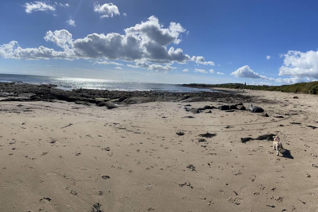 Willa The Fairways Hideaway - Northumberland Newbiggin-by-the-Sea Zewnętrze zdjęcie